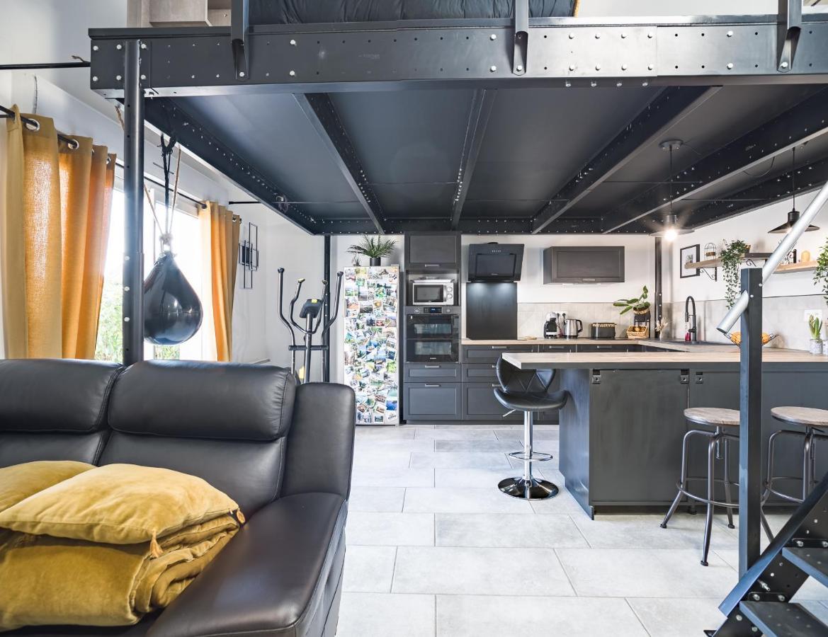 Loft Avec Jardin Et Parking Prive Troyes Exterior foto